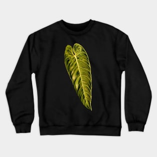 Philodendron melanochrysum leaf botanical illustration Crewneck Sweatshirt